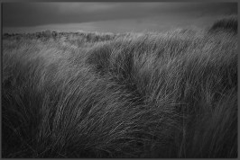 found photo, titled 'Moving' - will link up to source when i can find it.