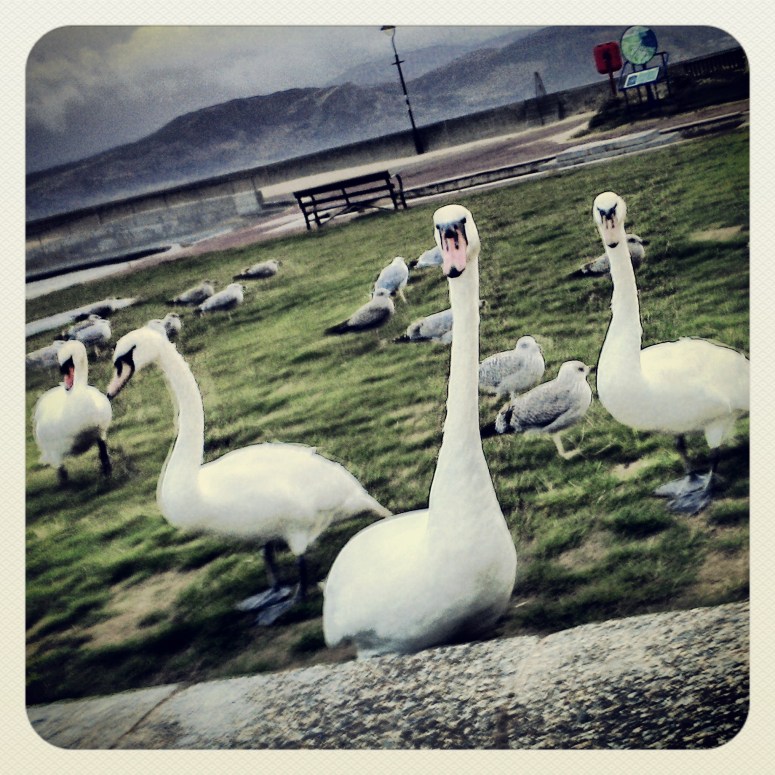 c. Mary Kathryn Gough