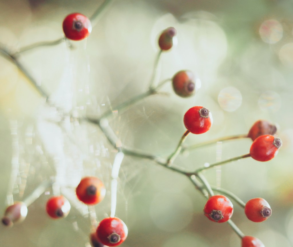 Photo by J Lee on Unsplash